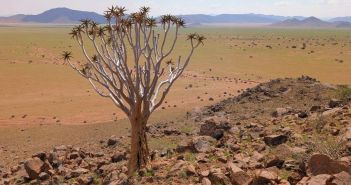 4WD-Mietwagenreise durch Südnamibia: Offroad-Abenteuer, Gastfreundschaft, Lodges und grenzenlose (Foto: Afrika Plus Reisen)